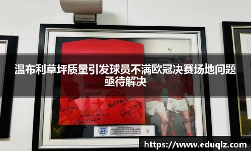 温布利草坪质量引发球员不满欧冠决赛场地问题亟待解决